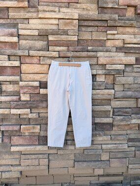 Everlane Modern Fit Cropped Chino – Stone – Men’s 30x28